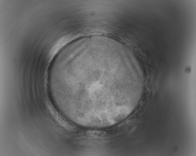 X0000115580242200912081032