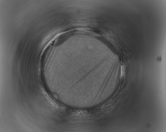 X0000115580243200912081032