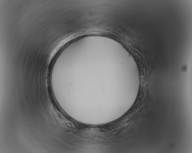 X0000115580244200912081032