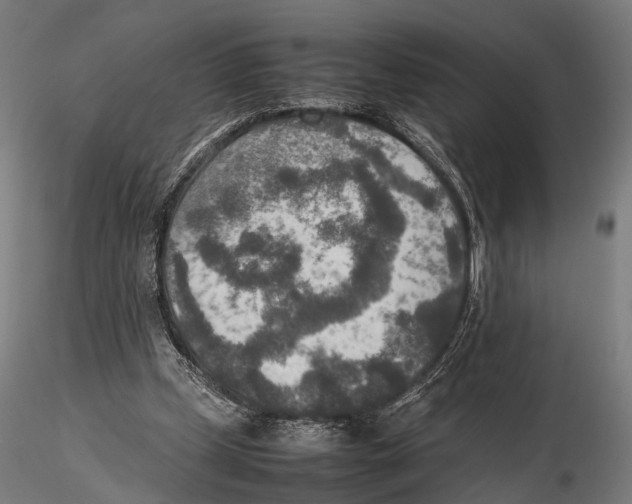 X0000115580249200912081033