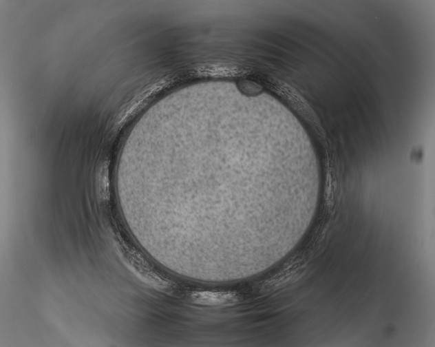 X0000115580251200912081033