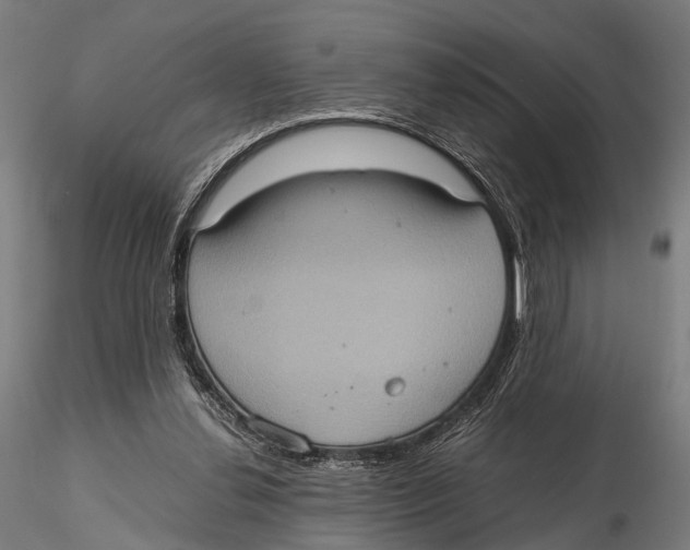 X0000115580252200912081033