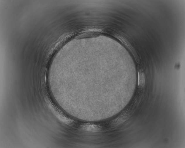 X0000115580253200912081033