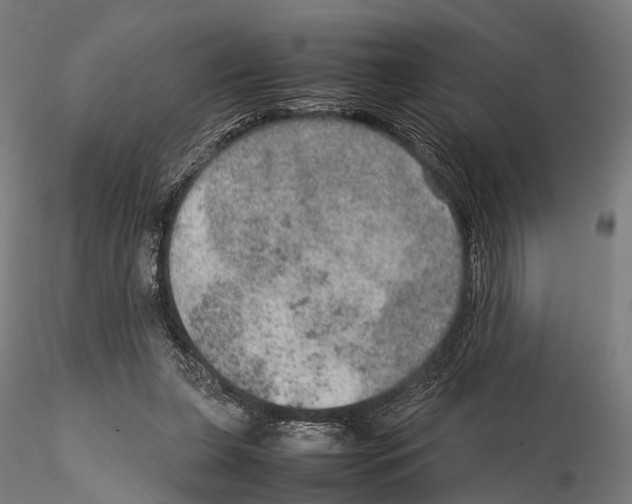 X0000115580255200912081033