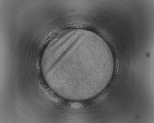 X0000115580258200912081033