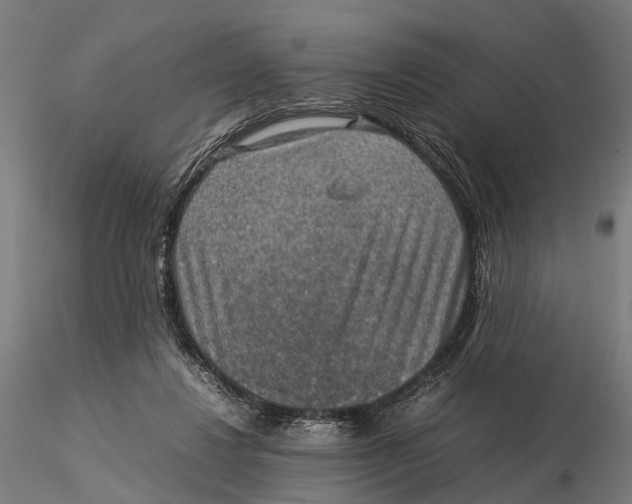 X0000115580260200912081033