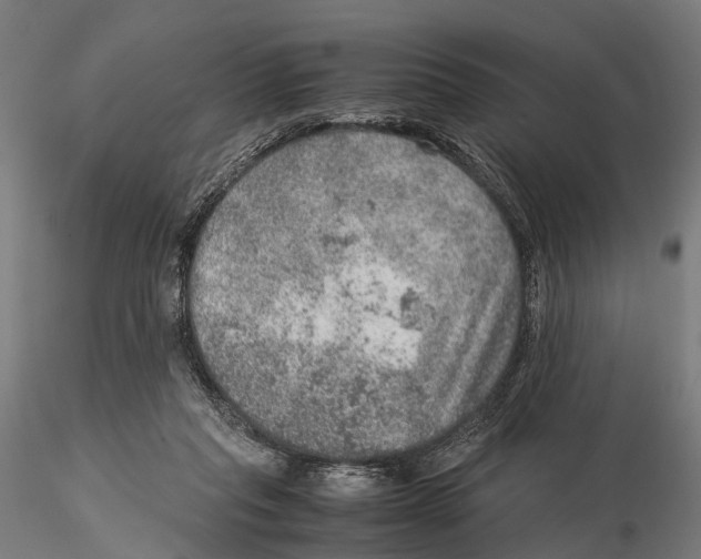 X0000115580261200912081033