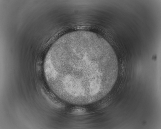 X0000115580263200912081033