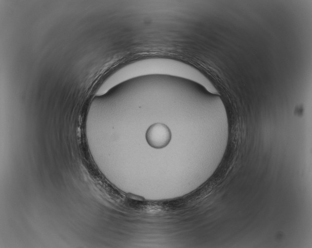 X0000115580264200912081033