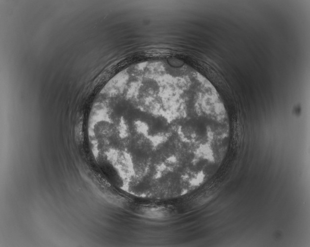 X0000115580267200912081033