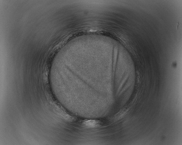 X0000115580269200912081033