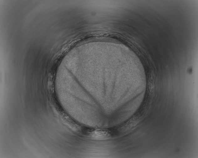 X0000115580270200912081033