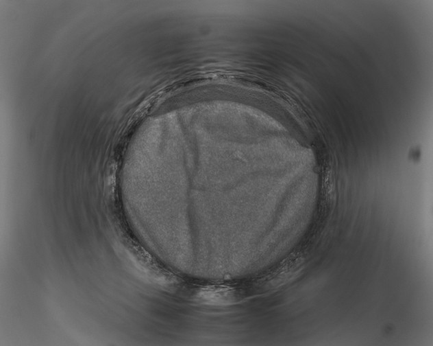 X0000115580271200912081033