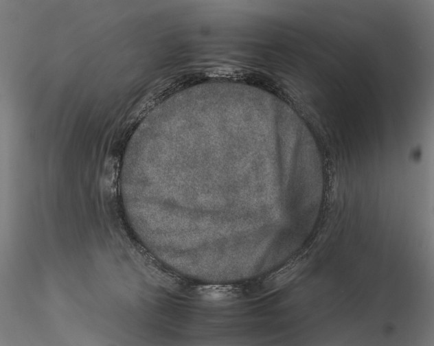 X0000115580273200912081033