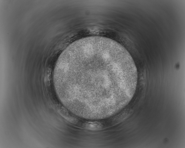 X0000115580275200912081033