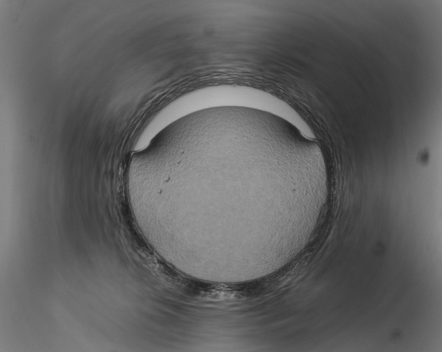 X0000115580276200912081033