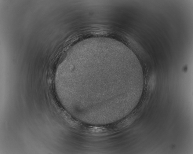 X0000115580277200912081033