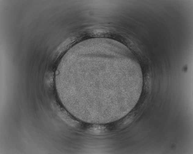 X0000115580278200912081033