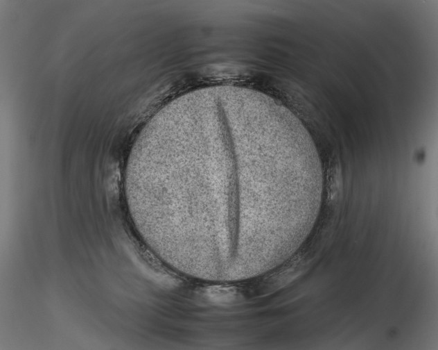 X0000115580279200912081033