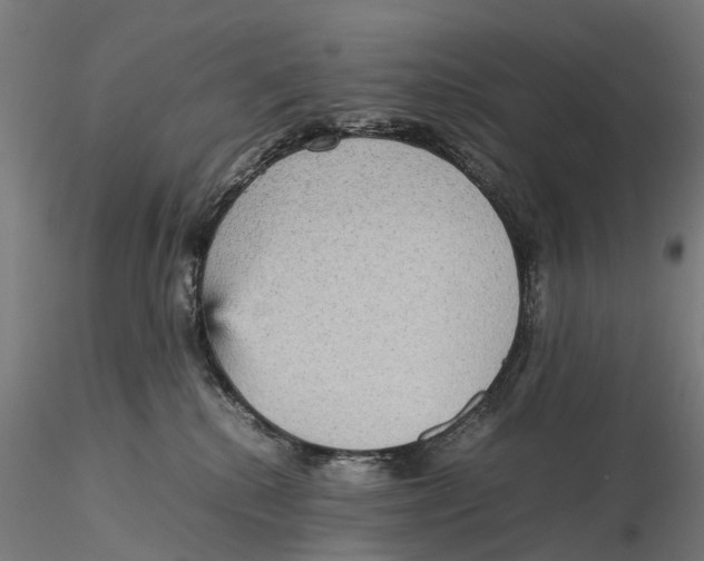 X0000115580280200912081033