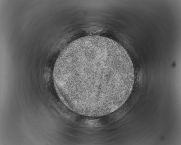 X0000115580283200912081033