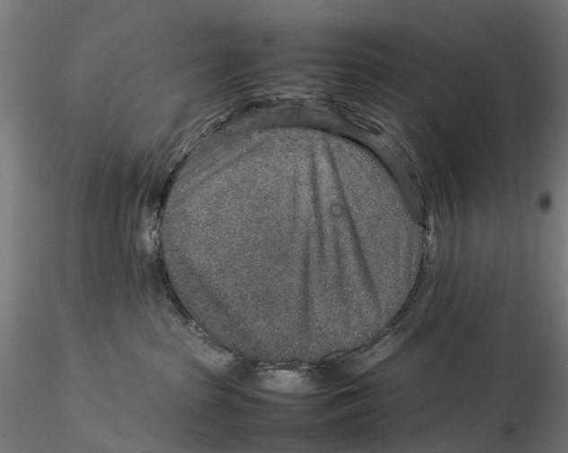 X0000115580285200912081033