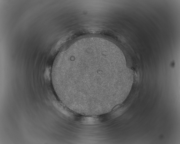 X0000115580286200912081033