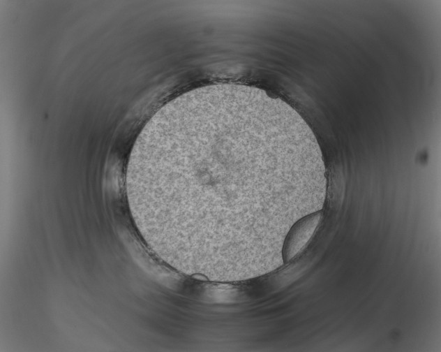 X0000115580287200912081033