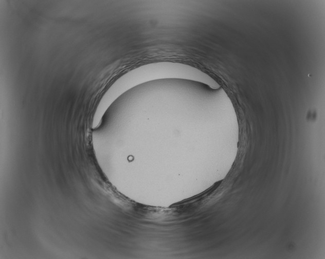 X0000115580288200912081033