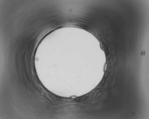 X0000115580289200912081032