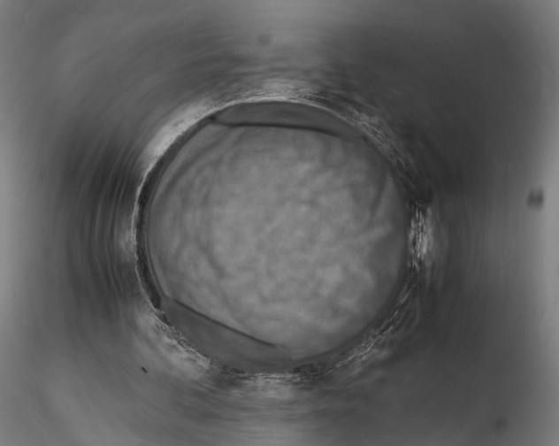 X0000115580292200912081032