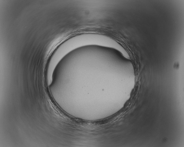 X0000115580293200912081032