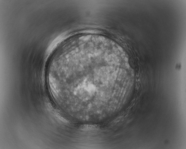 X0000115580296200912081032