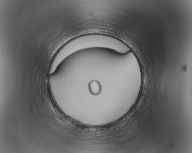 X0000115580297200912081032