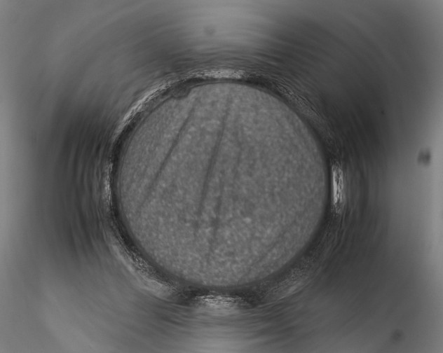 X0000115580300200912081032