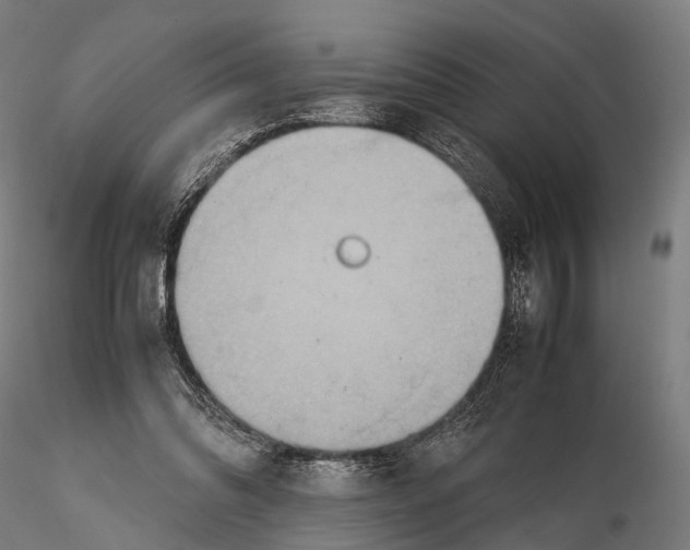 X0000115580302200912081032