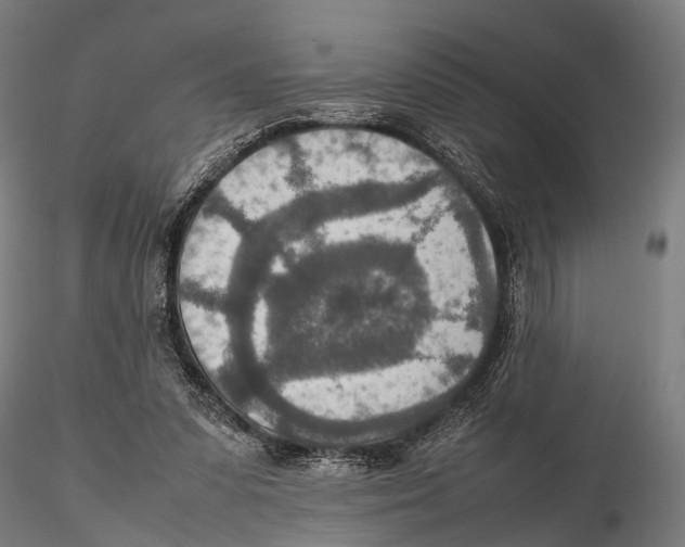 X0000115580303200912081032