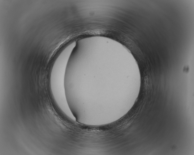 X0000115580304200912081032