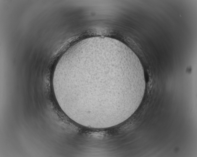 X0000115580306200912081032