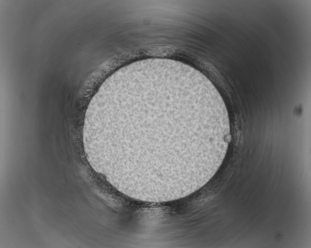 X0000115580307200912081032