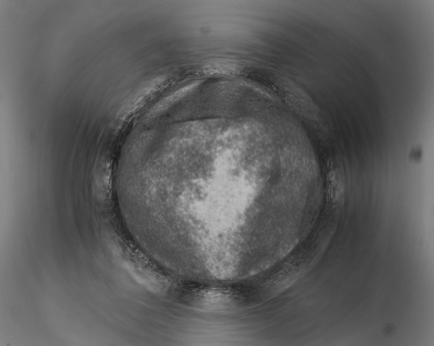 X0000115580308200912081032