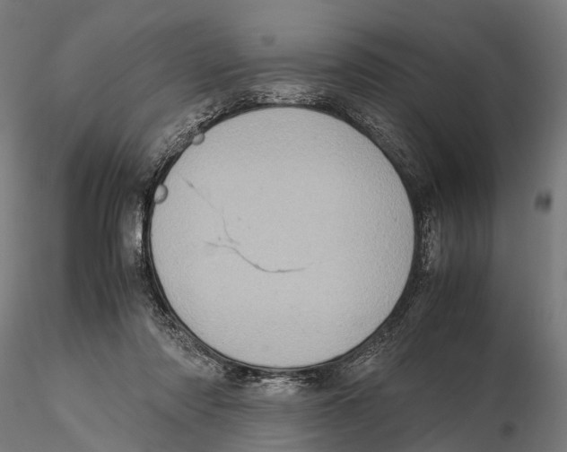 X0000115580310200912081032