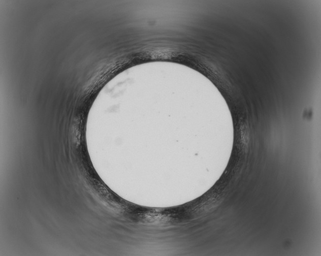 X0000115580311200912081032