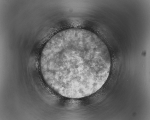 X0000115580313200912081032