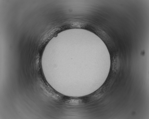 X0000115580314200912081032