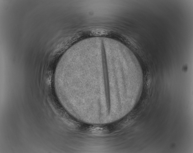 X0000115580315200912081032