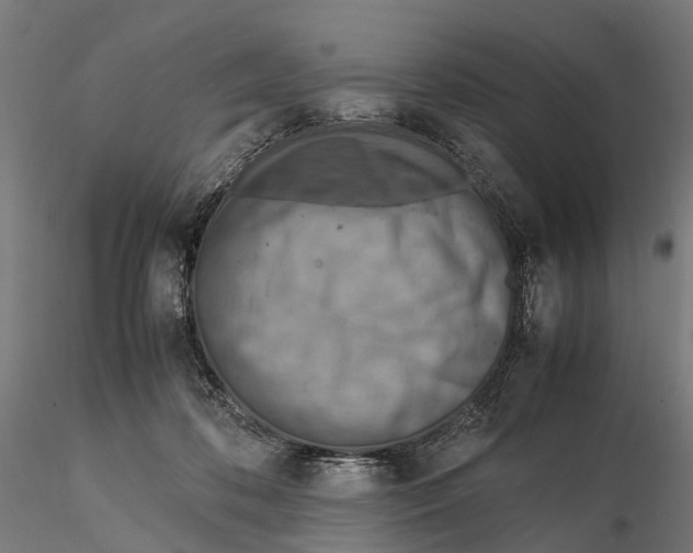 X0000115580316200912081032