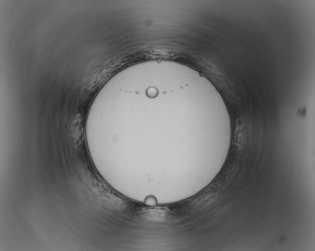 X0000115580318200912081032