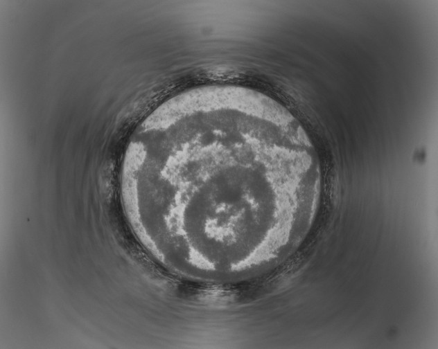 X0000115580319200912081032