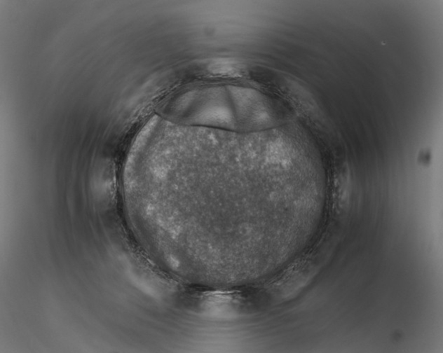 X0000115580320200912081032